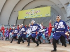 DSC07877.JPG