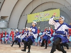 DSC07878.JPG