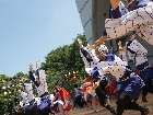 DSC07889.JPG