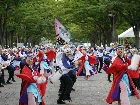 DSC08133.JPG