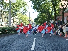 DSC08354.JPG